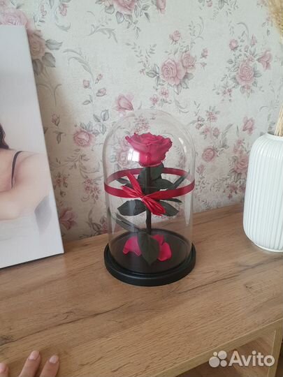 Роза в колбе живая, +подарочная коробка