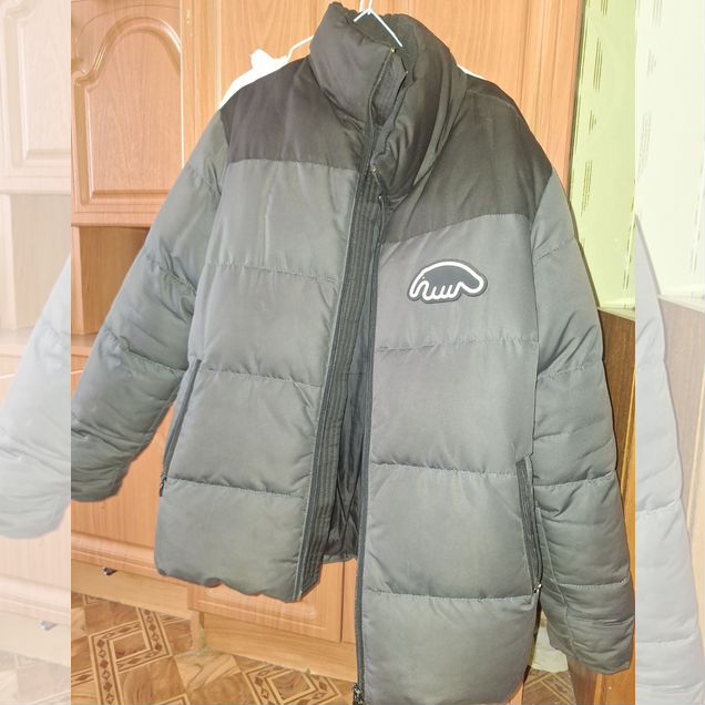 Пуховик anteater