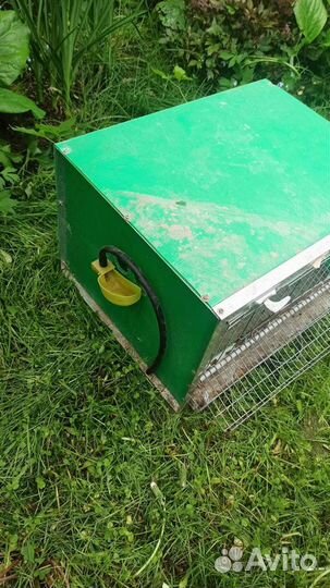 Клетки для перепелов