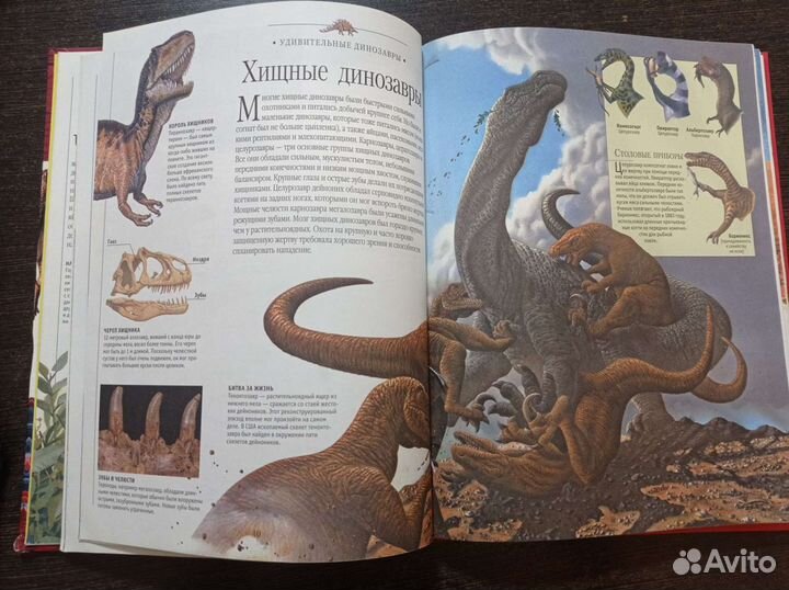 Детская энциклопедия