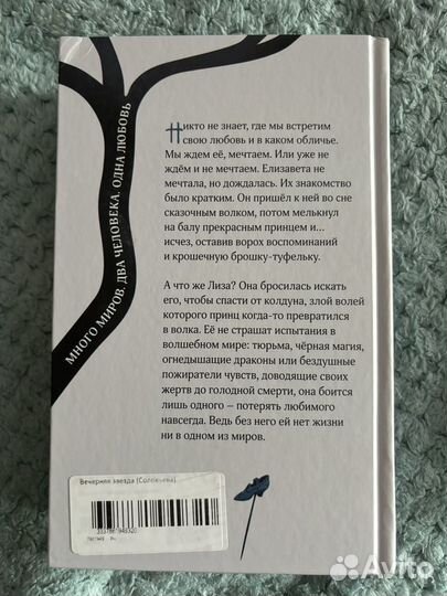 Вечерняя звезда книга