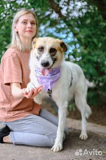 Скарлет ищет семью