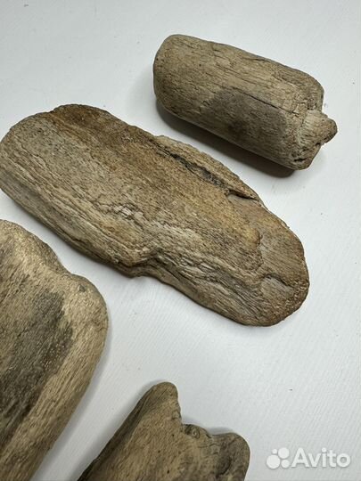 Дрифтвуд Черного моря для творчества