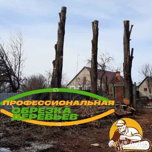 Опиливание Деревьев В Липецке
