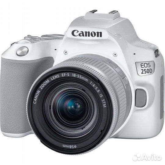 Canon EOS 250D Kit 18-55 IS STM silver