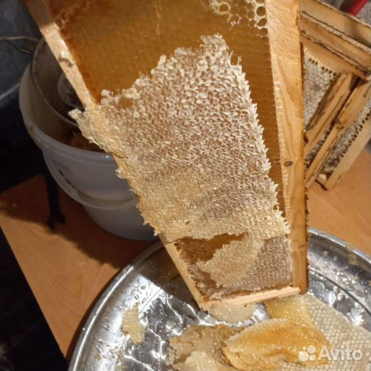 Мёд с собственной пасеки