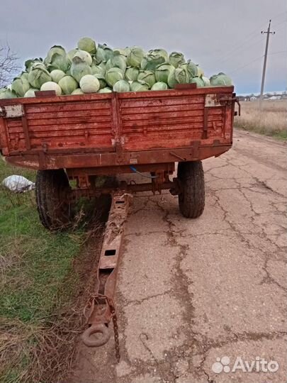 Трактор ЮМЗ 6АЛ, 1981