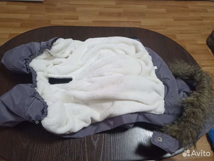 Одежда для собак мелких пород