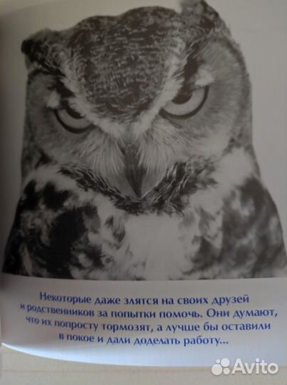 Книга Для тех, кто делает слишком много