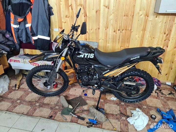 Avantis MT 250