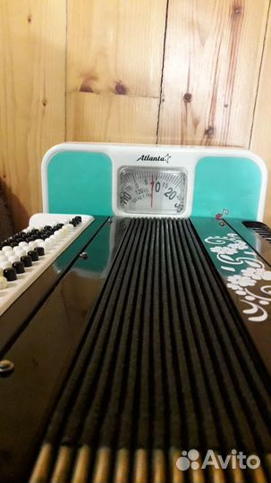 Баян Тульский 