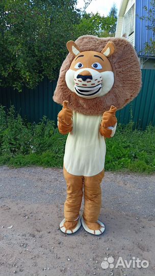 Аниматоры на день рождения