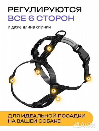 Шлейка для собаки анатомическая