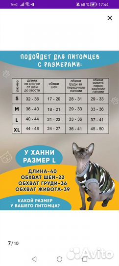 Одежда для животных