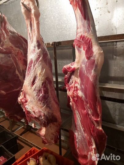 Телятина Говядина Свинина Баранина