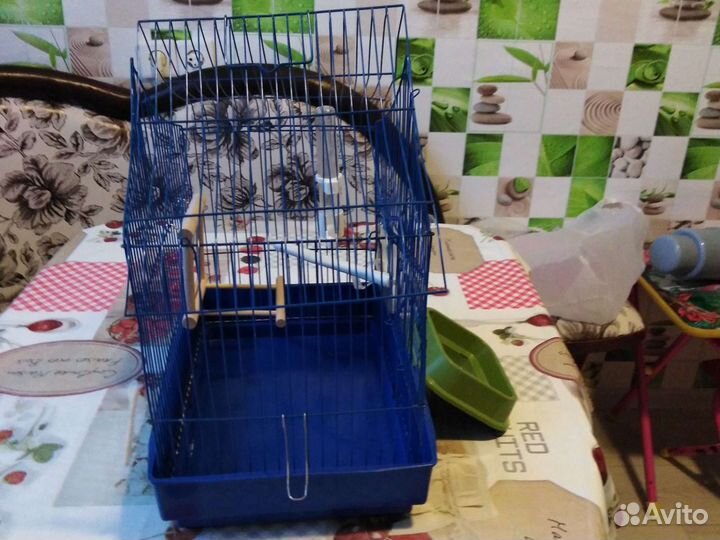 Клетка для попугая
