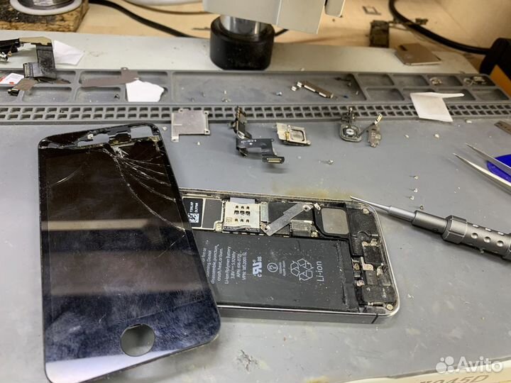 Экран на iPhone 5s черный А1530