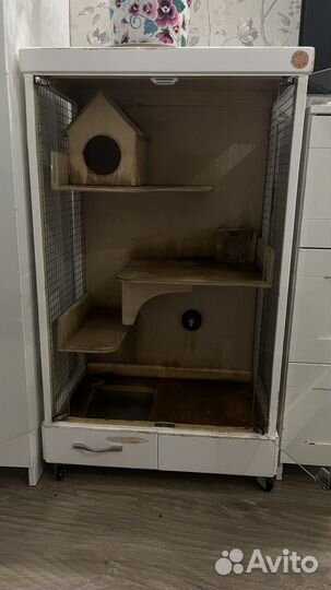 Витрина для шиншилл дегу бу