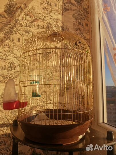 Клетка для попугая