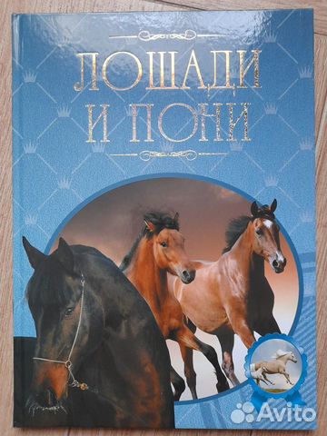 Книга лошади и пони