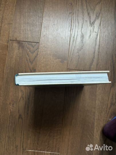 Приключения летучей мышки Бэллы. В.Вакуленко