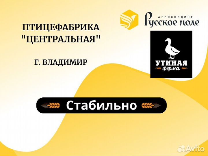 Элекромонтер