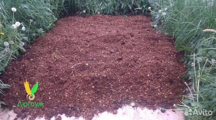 Конский перепревший навоз