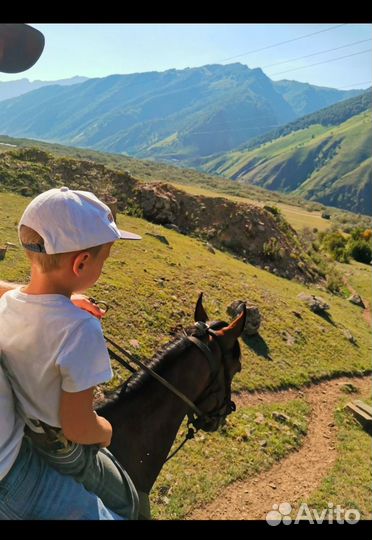 Конные прогулки, активный отдых