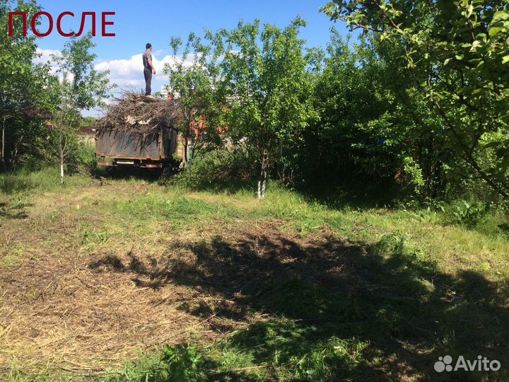 Спил деревьев. Вывоз мусора