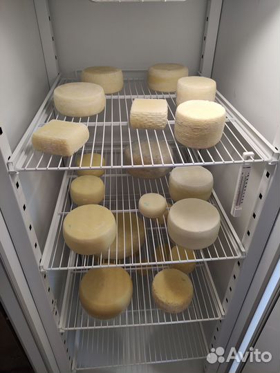 Молоко и продукция альпийских коз и Джерси