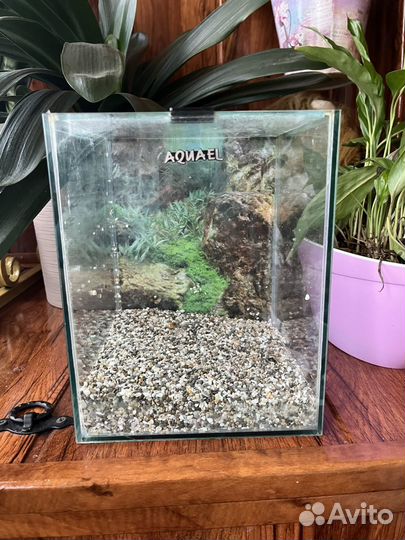 Аквариум aquael 10