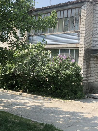 3-к. квартира, 60,6 м², 2/2 эт.