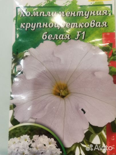 Петуния
