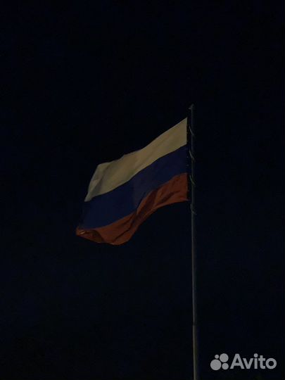 Помощник руководителя