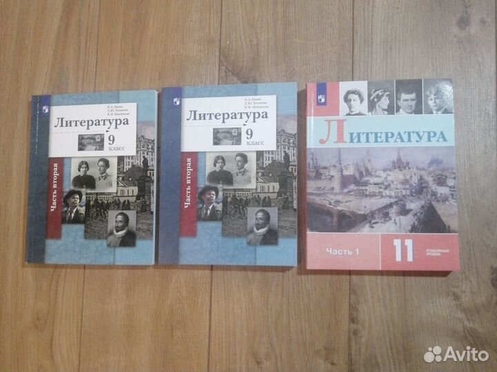 Литература 9 часть 2 и 11 класс. Учебник