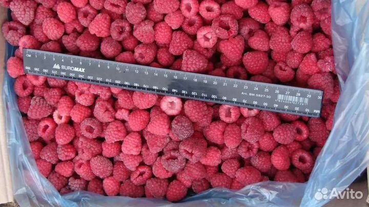 Малина ягода коробками по 10 кг с доставкой
