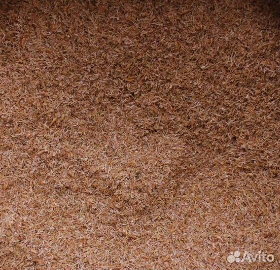 Гаммарус мелким оптом