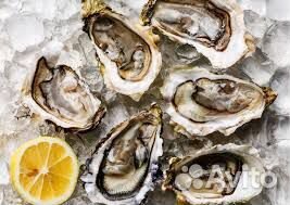 Устрицы,рапаны,мидии(живые море продукты)