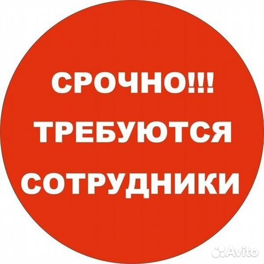 Подработка для студентов и не только
