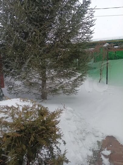 Дом 114 м² на участке 7 сот.