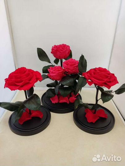 Роза в колбе