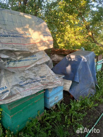Продам ульи для пчел