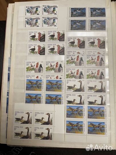 Альбом с марками. Флора и фауна