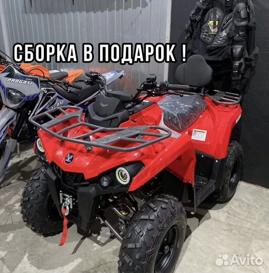 Mikilon Hammer 200L Pro-R