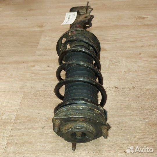 Амортизатор передний левый Honda Civic 8 4D