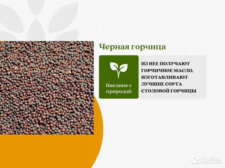 Чёрная горчица (кг)