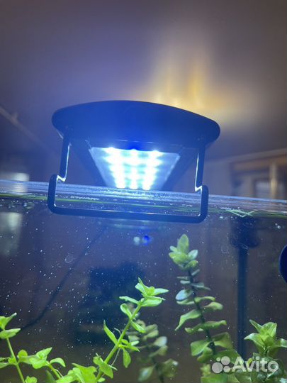 Светодиодная лампа для аквариума