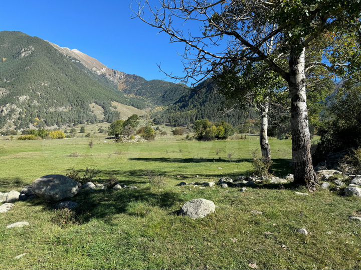 Участок 1,91 га (СНТ, ДНП)