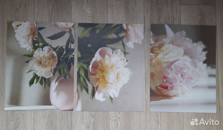 Постеры 30х40