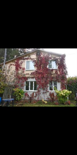 Дача 50 м² на участке 6 сот.